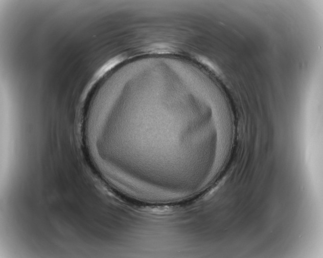 X0000085761410200704091326