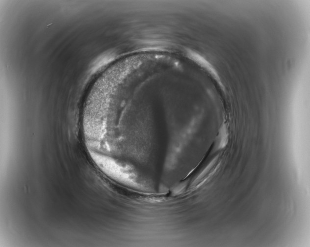 X0000085761411200704091326