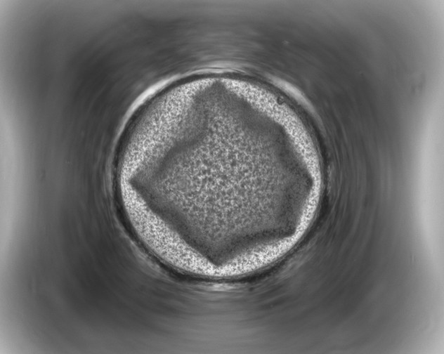 X0000085761412200704091326