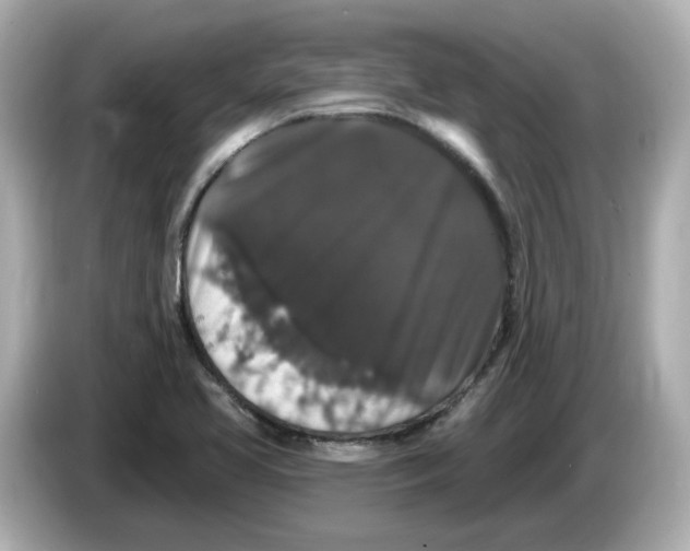 X0000085761413200704091326