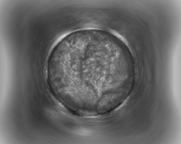 X0000085761415200704091326