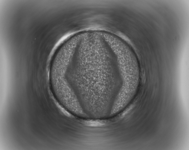 X0000085761416200704091326