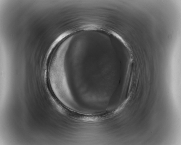 X0000085761418200704091326