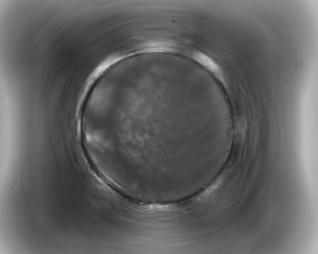 X0000085761419200704091326