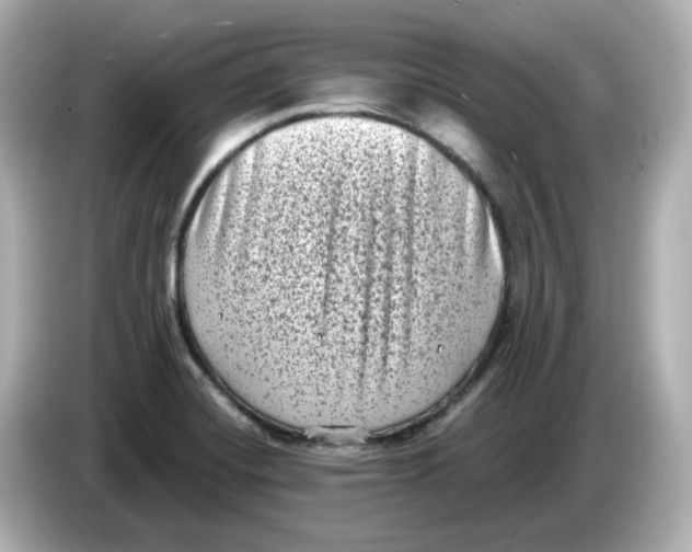 X0000085761420200704091326