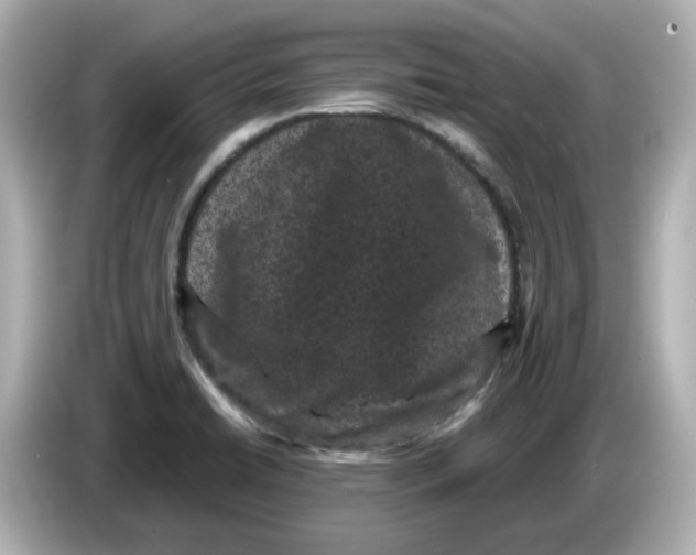 X0000085761422200704091326