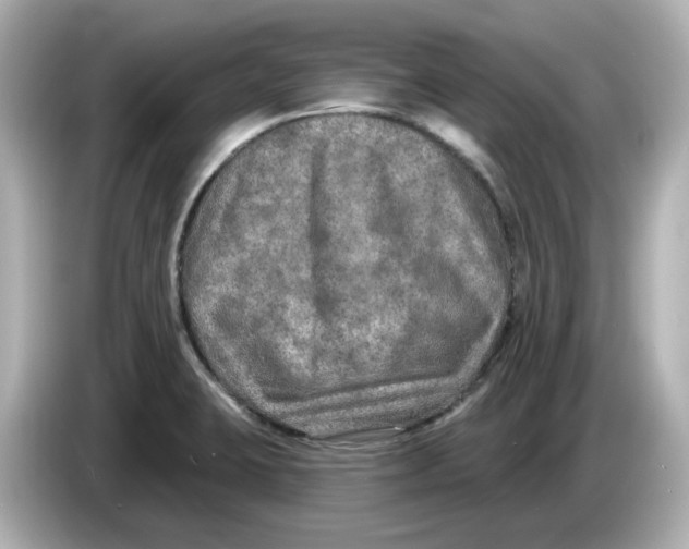 X0000085761423200704091326