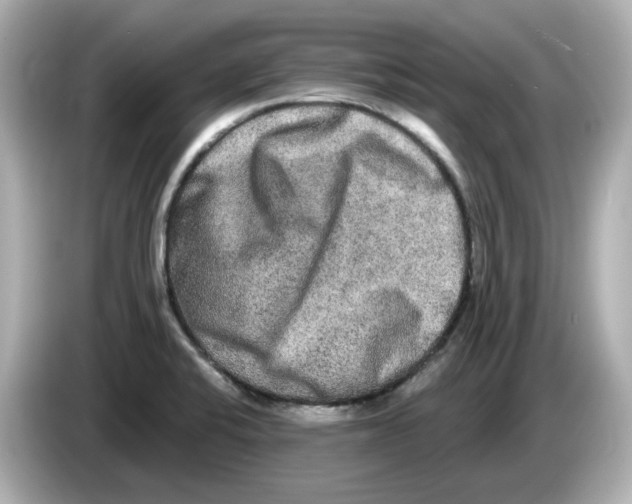 X0000085761424200704091326