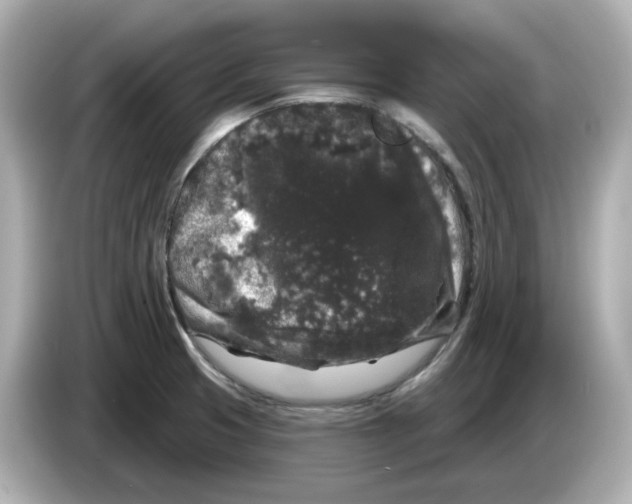X0000085761425200704091326