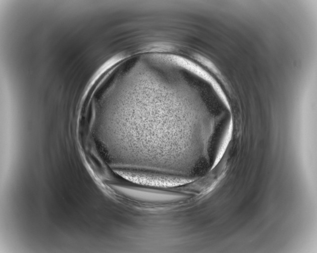 X0000085761426200704091326