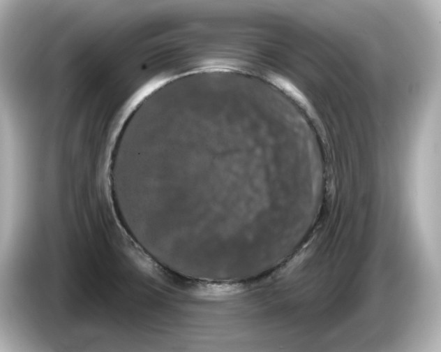 X0000085761427200704091326