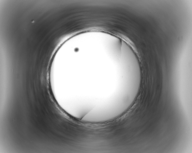 X0000085761428200704091326