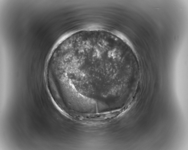 X0000085761429200704091326