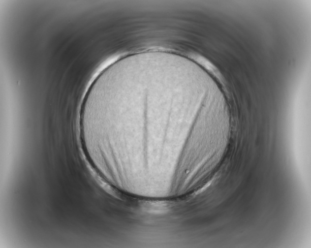 X0000085761431200704091326