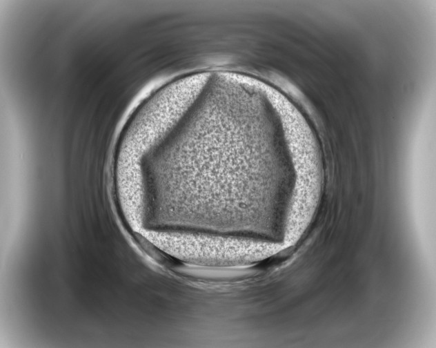 X0000085761432200704091326
