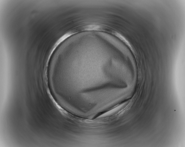 X0000085761434200704091326