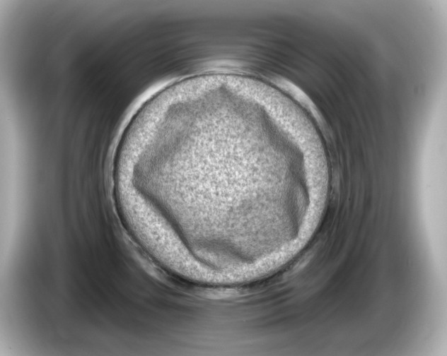 X0000085761435200704091326
