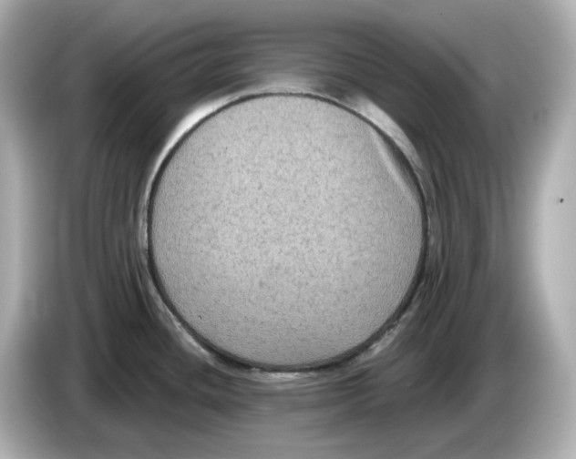 X0000085761436200704091326