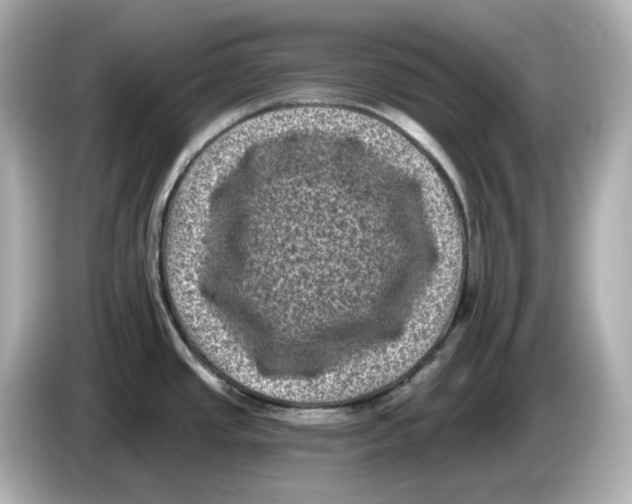 X0000085761437200704091326
