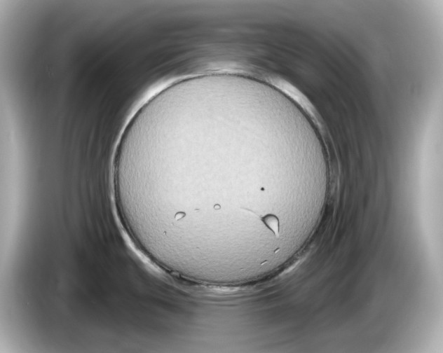 X0000085761439200704091326