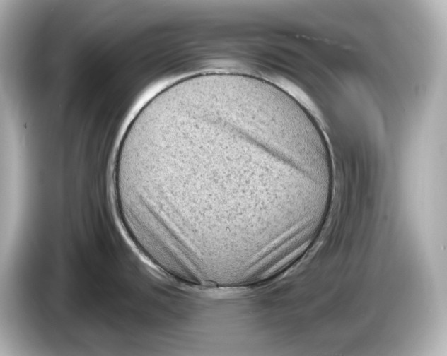 X0000085761440200704091326