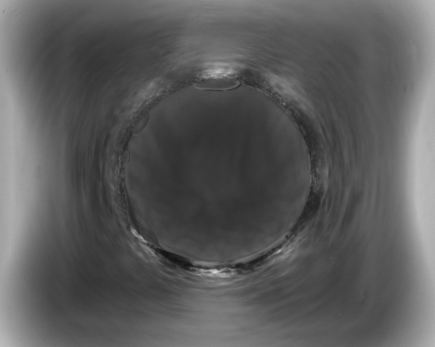 X0000085761441200704091326