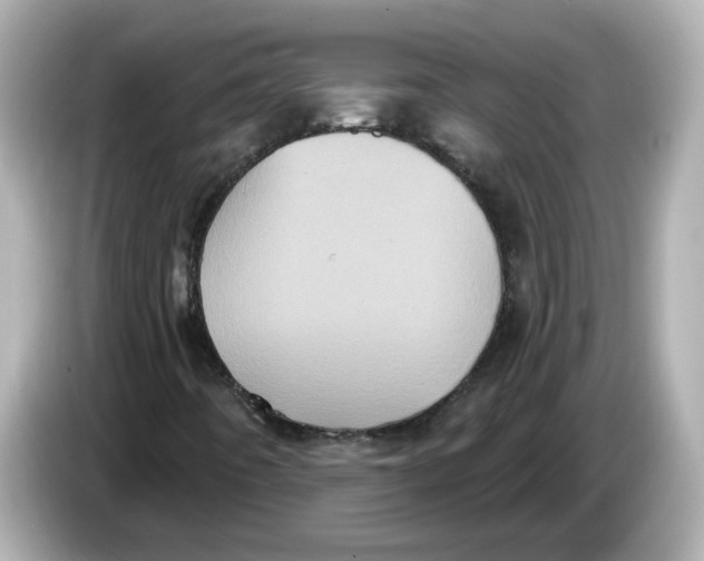 X0000085761442200704091326
