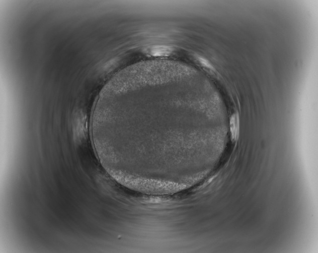X0000085761443200704091326