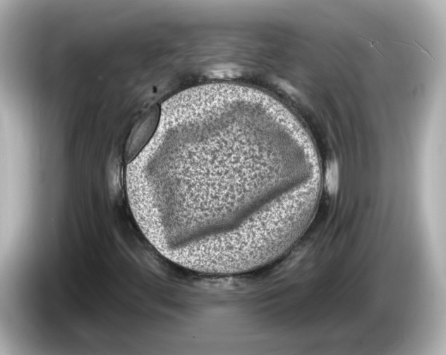 X0000085761444200704091326