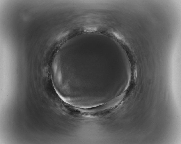 X0000085761445200704091326