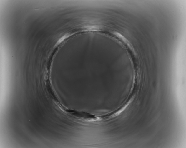 X0000085761449200704091325