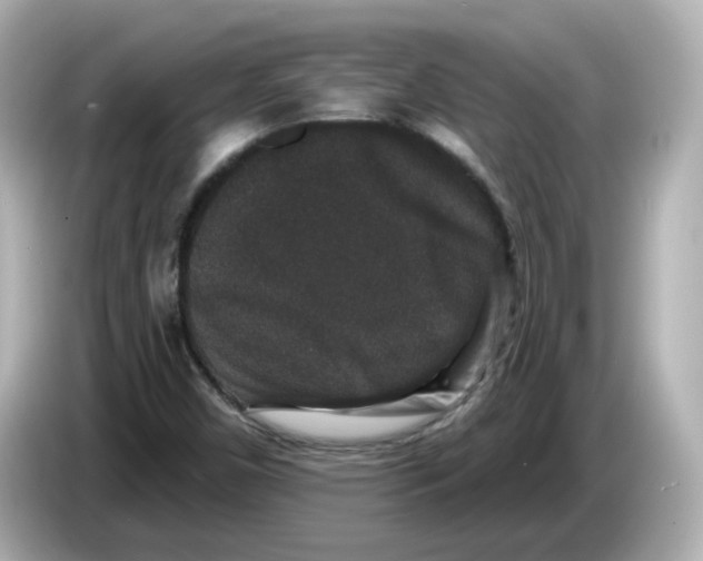 X0000085761450200704091325