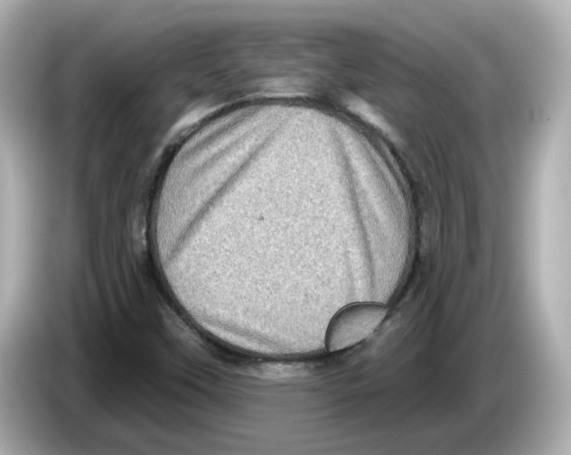 X0000085761451200704091325