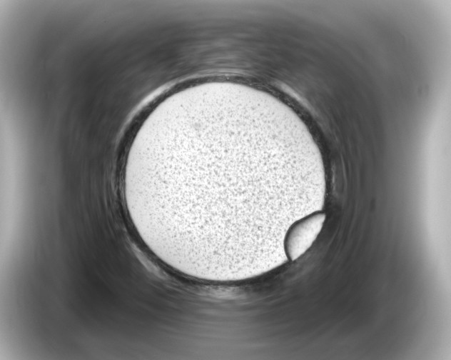 X0000085761452200704091325