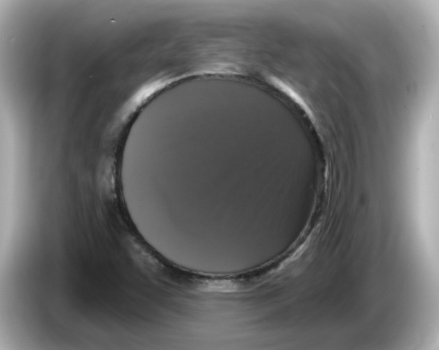 X0000085761455200704091325