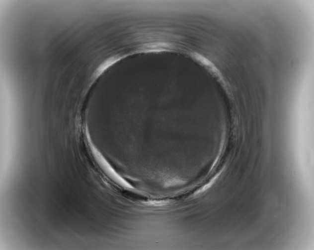 X0000085761457200704091325