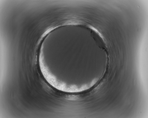 X0000085761459200704091325