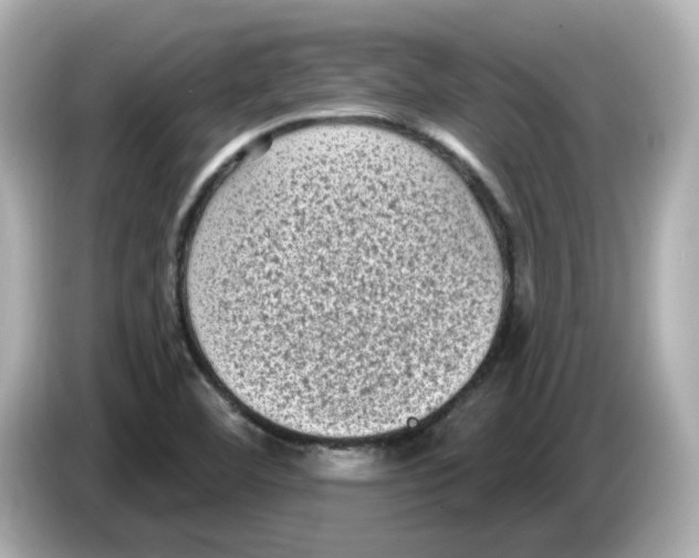 X0000085761460200704091325