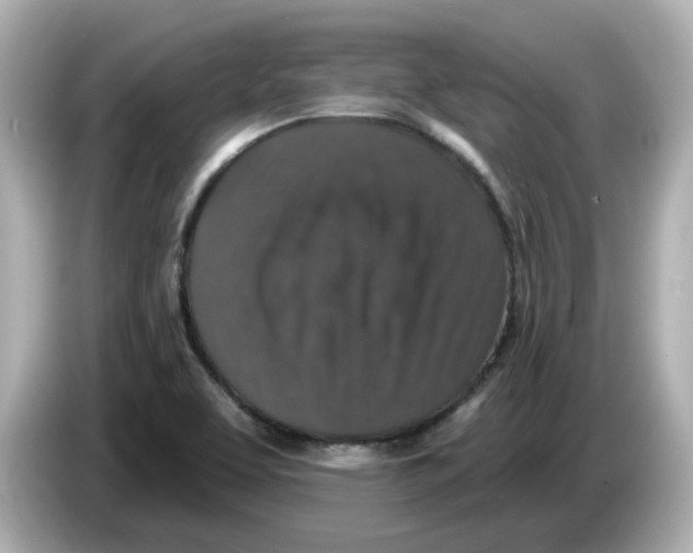 X0000085761463200704091325