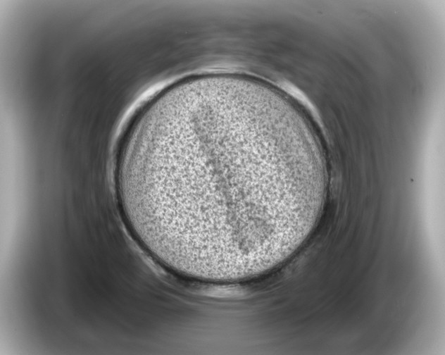 X0000085761464200704091325