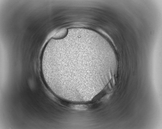 X0000085761467200704091325