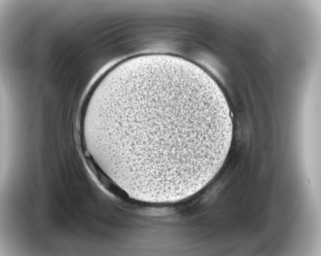 X0000085761468200704091325