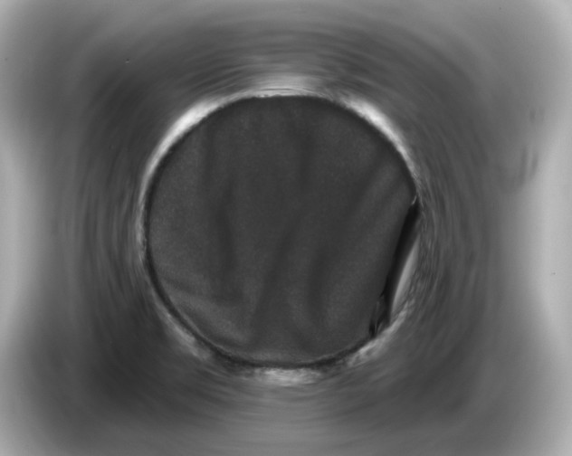 X0000085761469200704091325