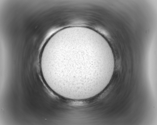 X0000085761470200704091325