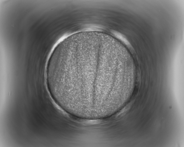 X0000085761471200704091325