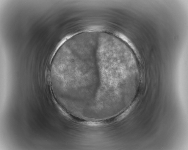 X0000085761473200704091325
