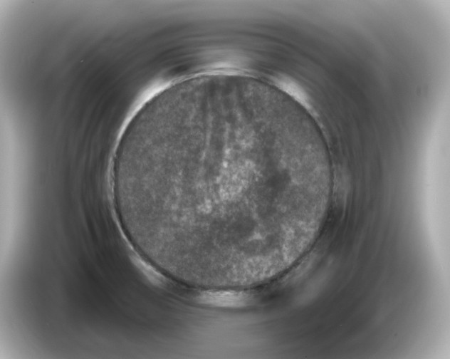 X0000085761474200704091325