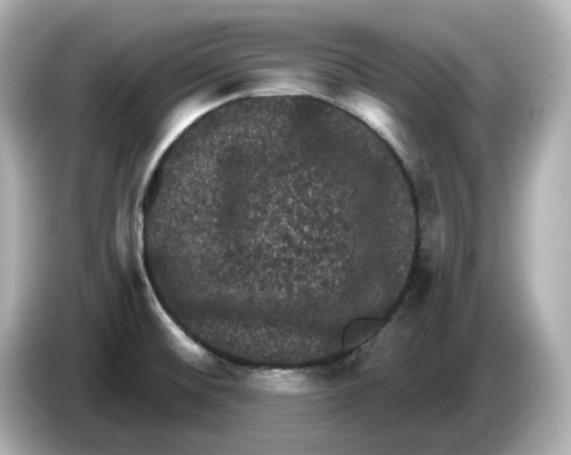 X0000085761476200704091325