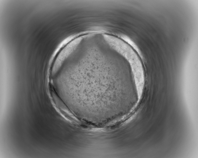 X0000085761477200704091325