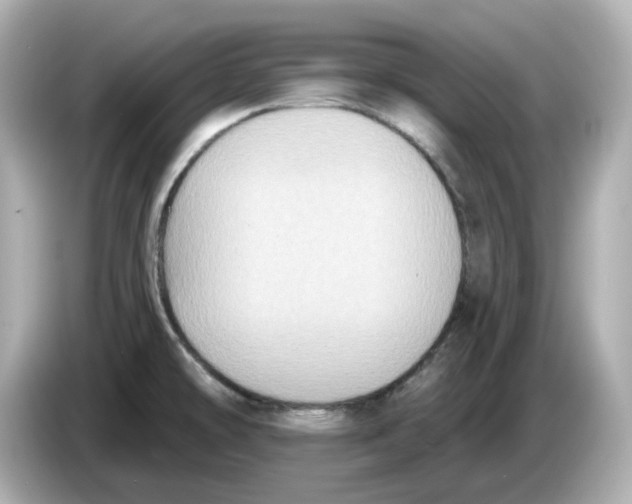 X0000085761478200704091325
